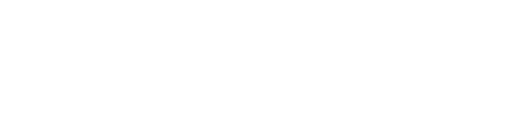 ALV